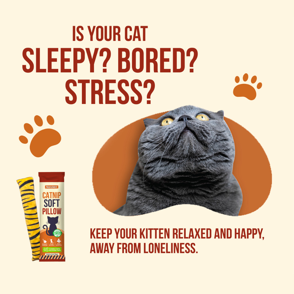 Nanovet Catnip Soft Pillow for Cats ONLY