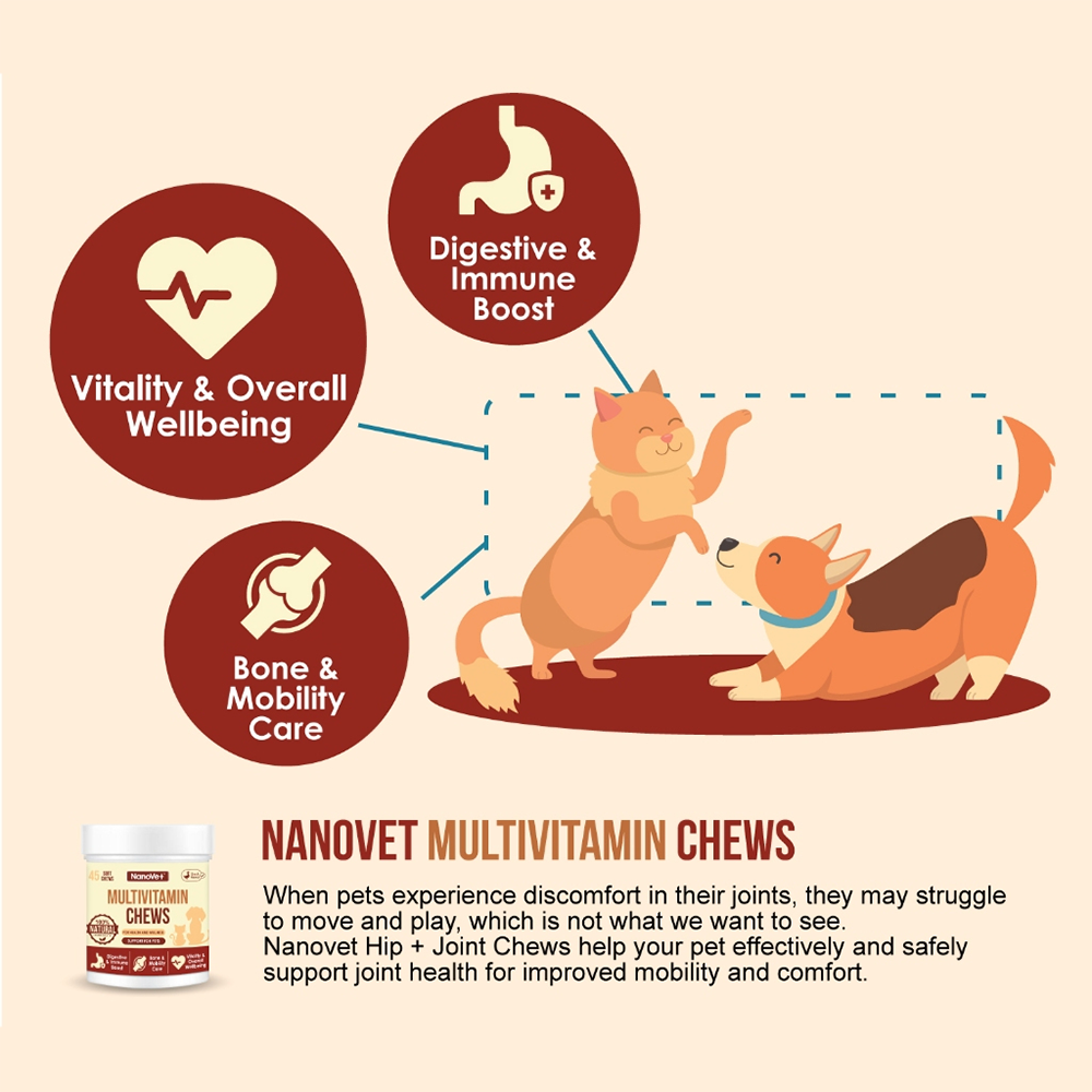 Nanovet Pet Multi Vitamin Chews For Cat and Dog