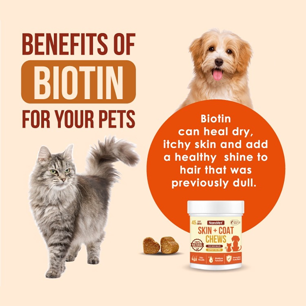 Nanovet Pet Skin + Coat Chews For Cat and Dog