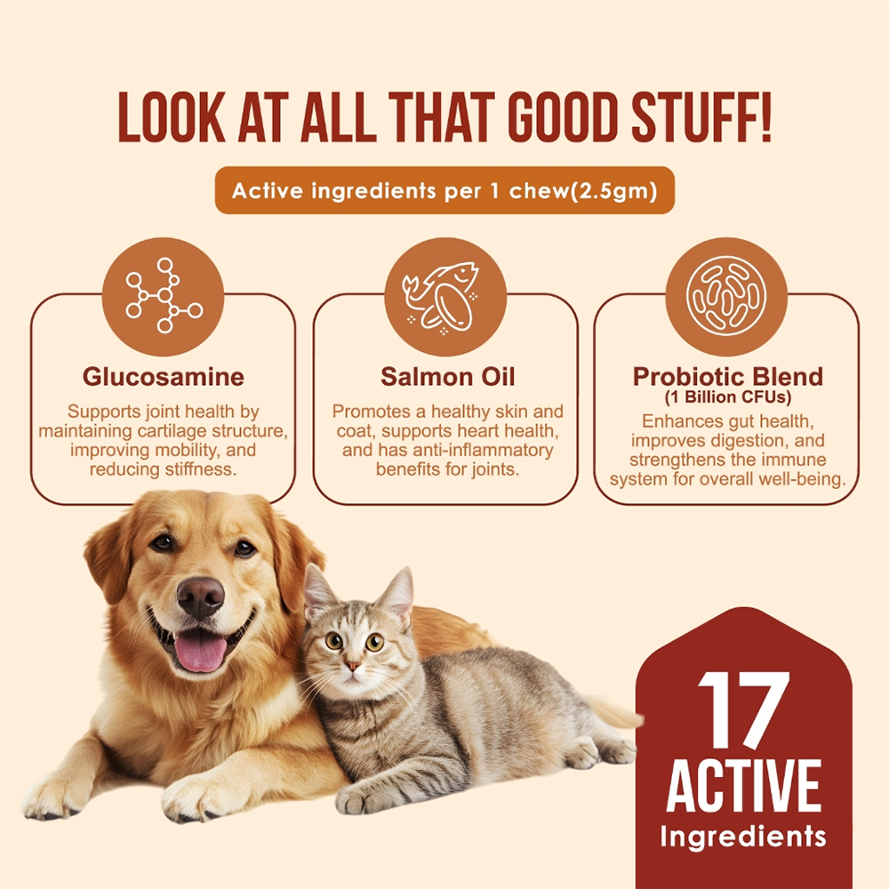 Nanovet Pet Multi Vitamin Chews For Cat and Dog