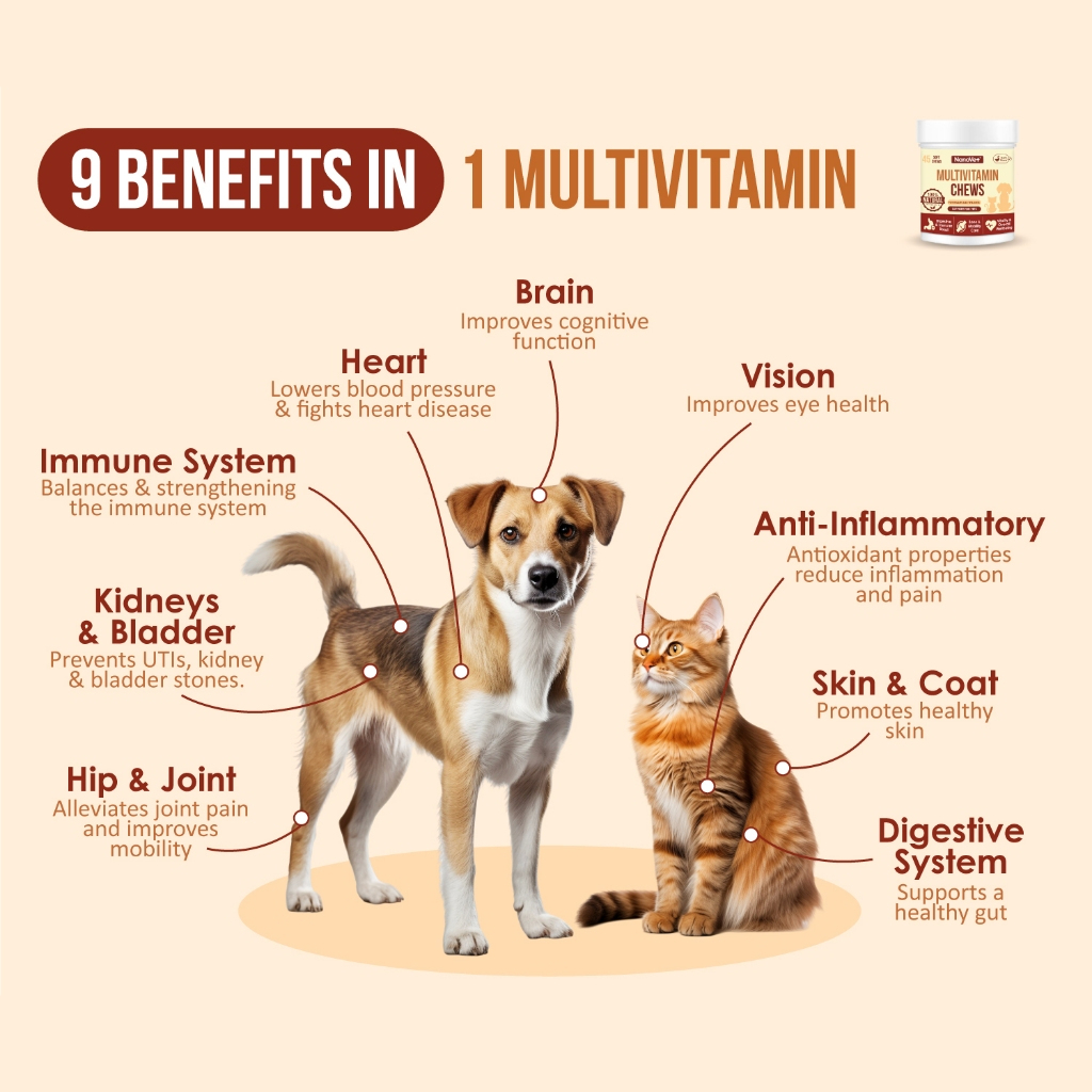 Nanovet Pet Multi Vitamin Chews For Cat and Dog