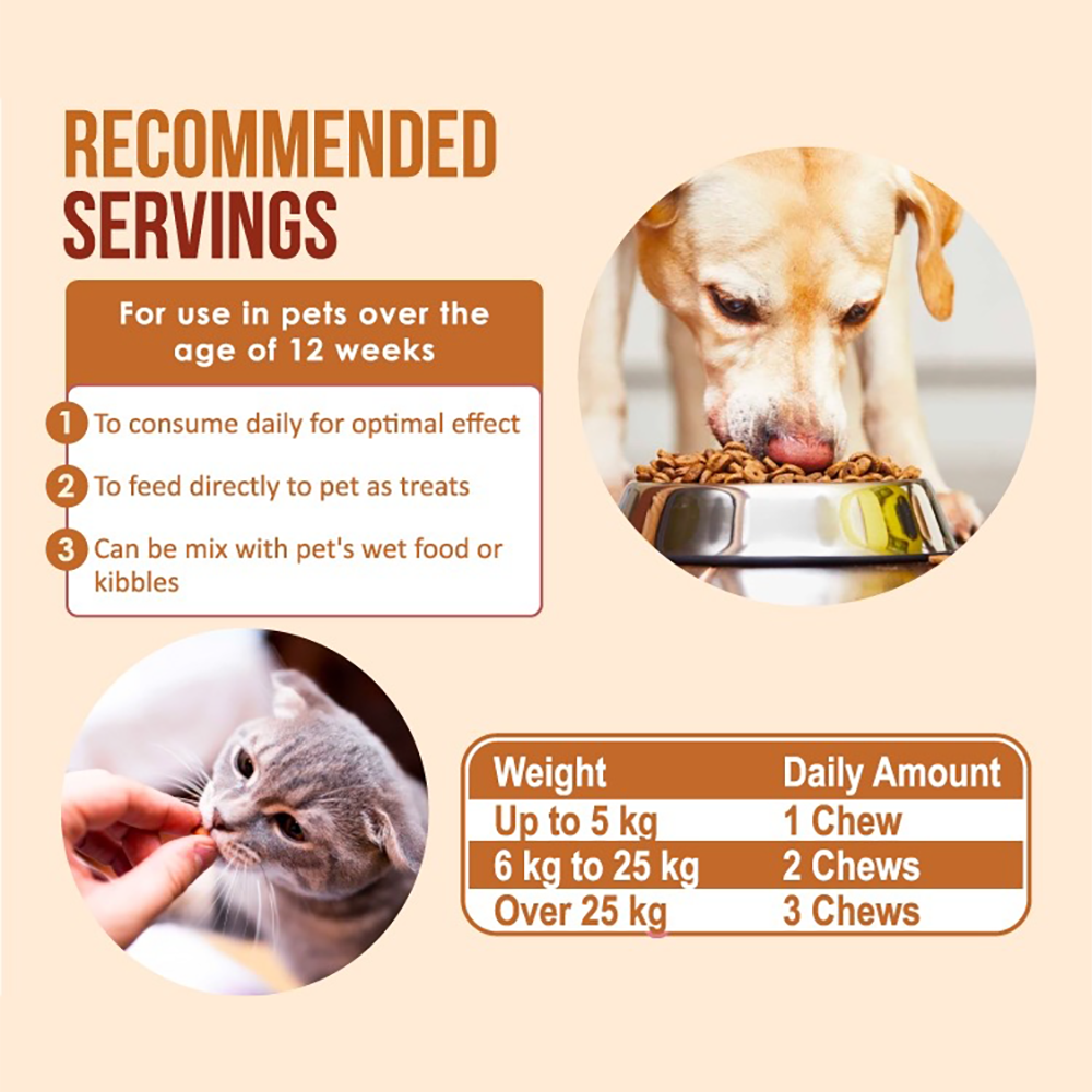 Nanovet Pet Skin + Coat Chews For Cat and Dog