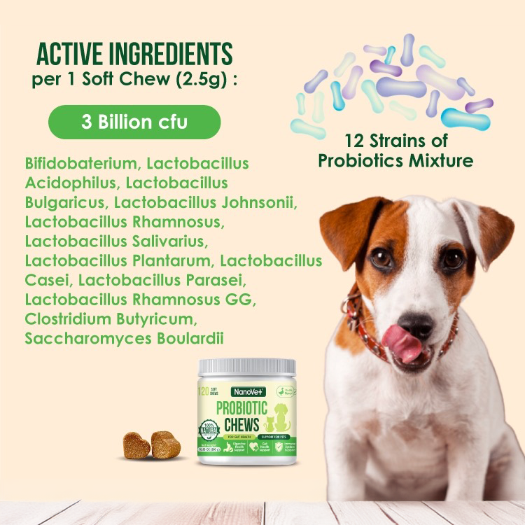 Nanovet Pet Probiotic Chews For Cats and Dogs