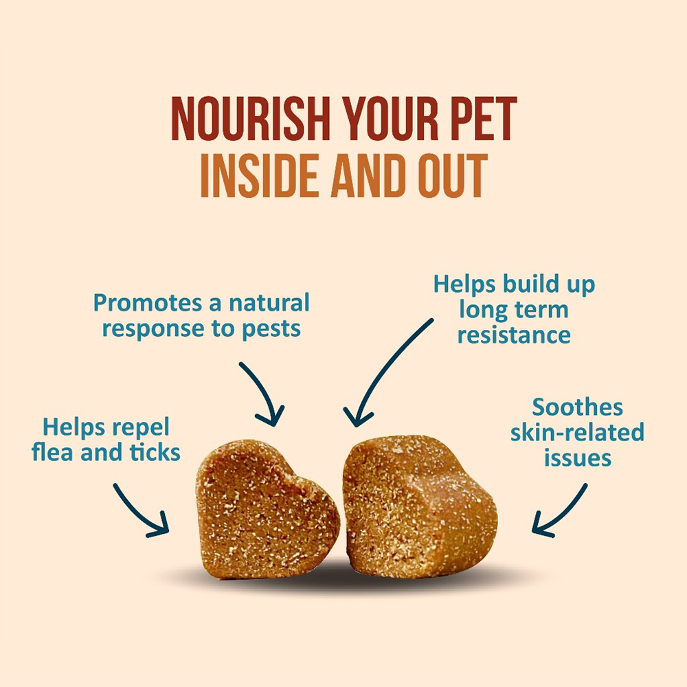 Nanovet Pet Flea and Tick Chews For Cat and Dog