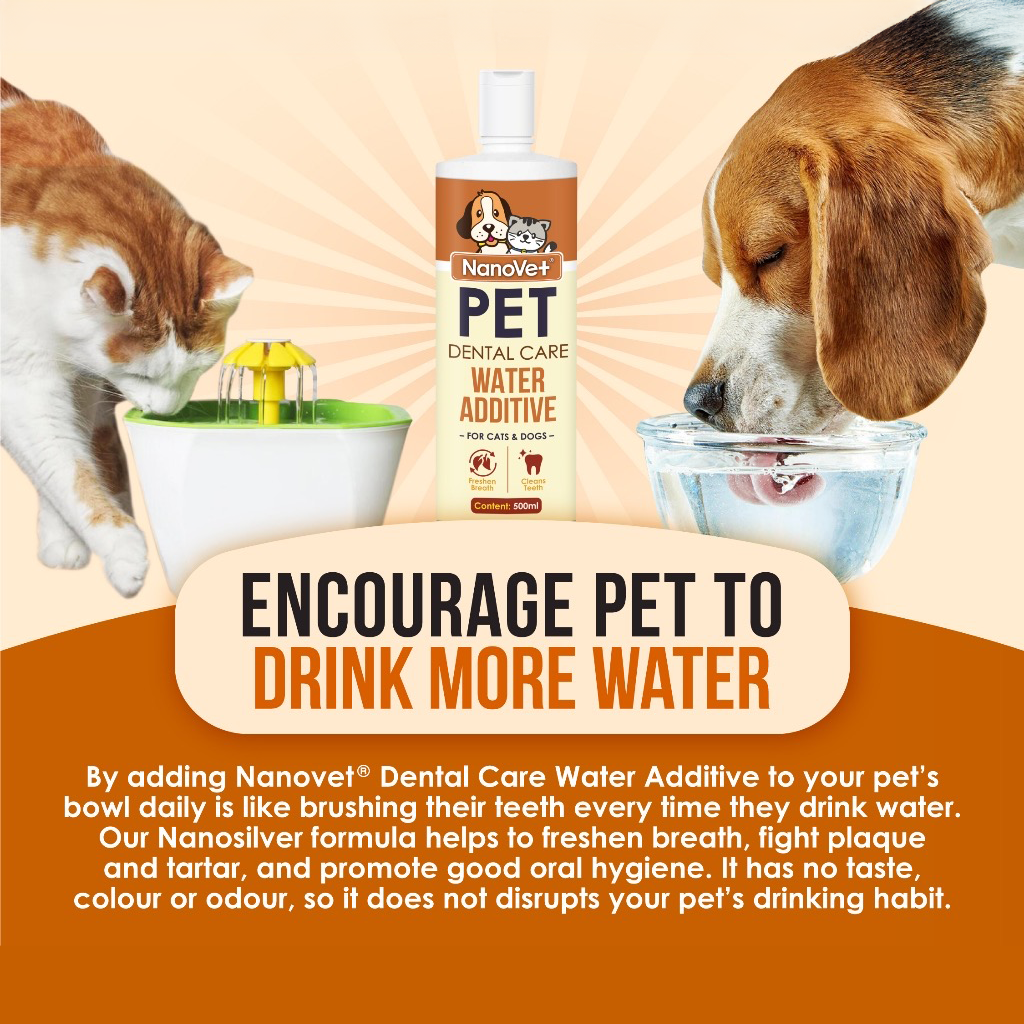 Nanovet Dental Care Water Additive for Cat and Dog 500ml