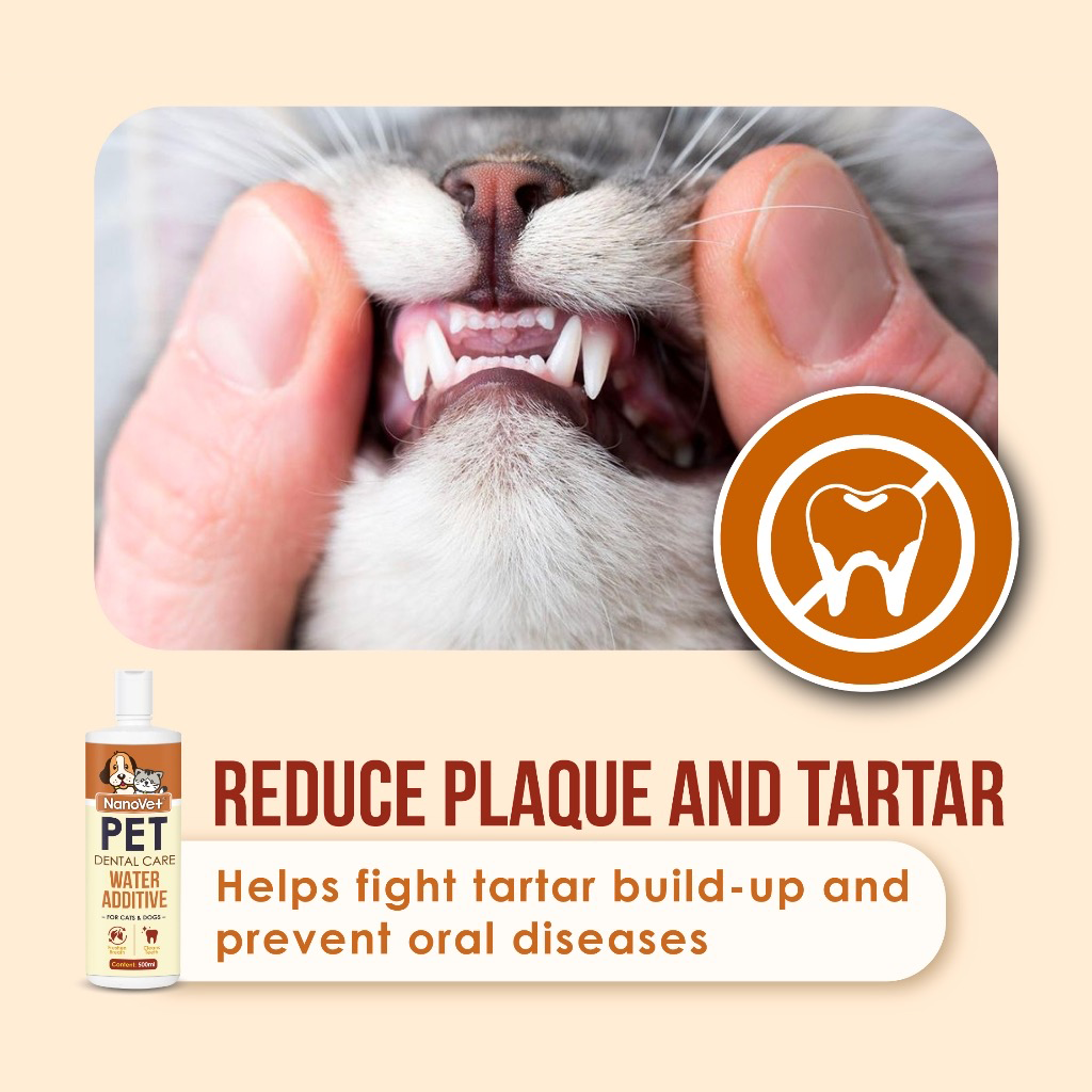 Nanovet Dental Care Water Additive for Cat and Dog 500ml