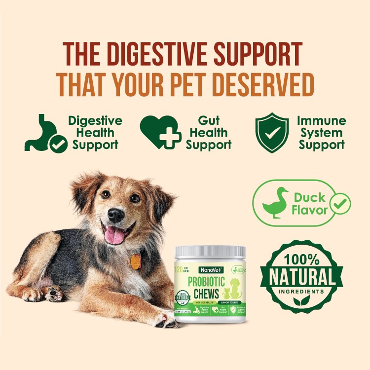 Nanovet Pet Probiotic Chews For Cats and Dogs