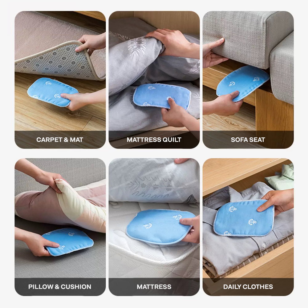 WorldLife Japanese Natural Bed Bugs and Bed Mites Trap