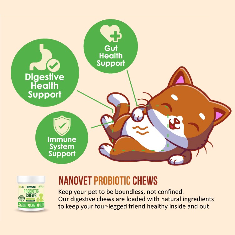 Nanovet Pet Probiotic Chews For Cats and Dogs