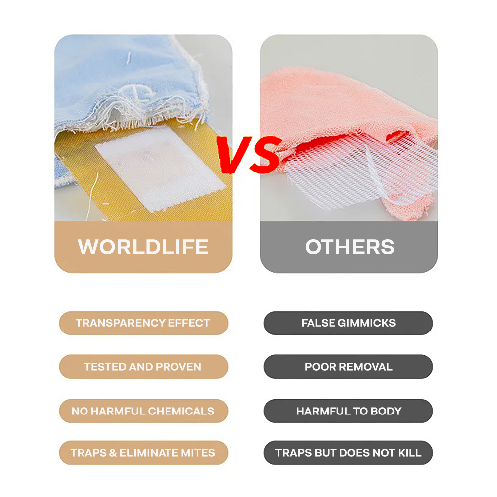 WorldLife Japanese Natural Bed Bugs and Bed Mites Trap