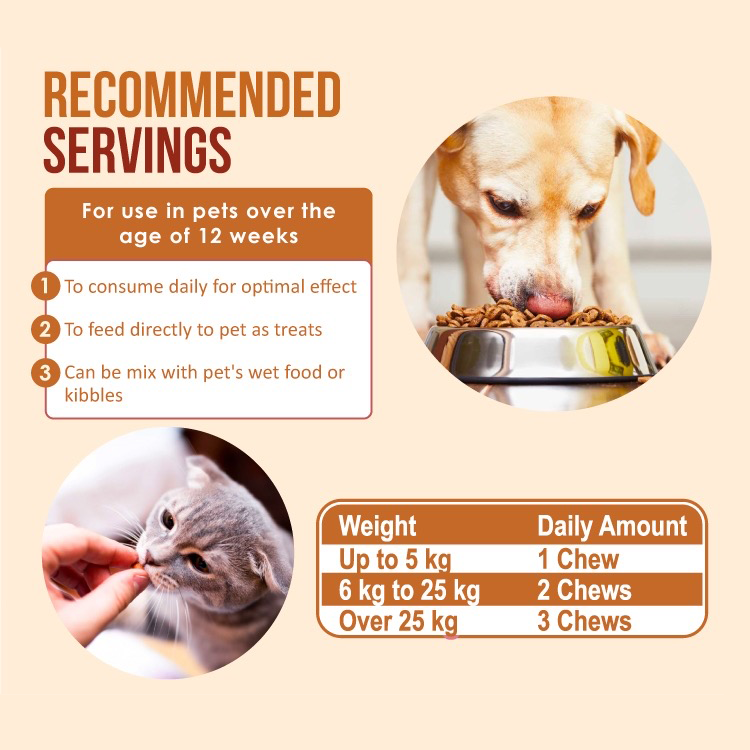 Nanovet Pet Probiotic Chews For Cats and Dogs